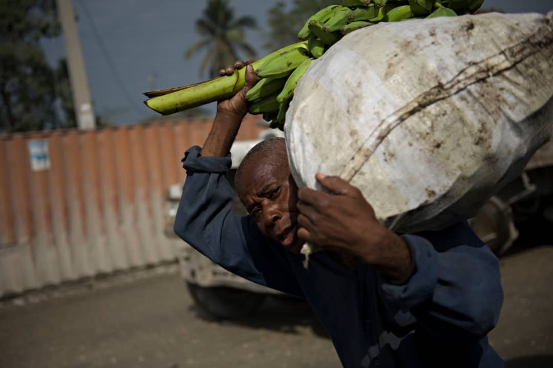 Crise alimentaire : Haïti au bord du gouffre, près de la moitié de la population en proie à la faim