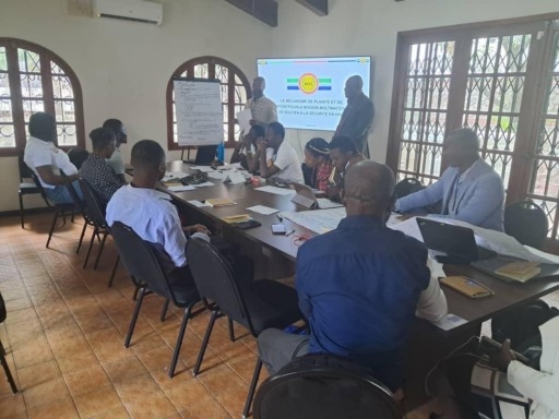 Le HCDH outille des formateurs des organisations de la société civile sur le suivi des violations des droits humains