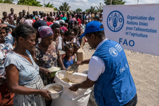 Face à la faim, plus de 300 mille Haïtiens ciblés par un programme d’urgence alimentaire de la FAO