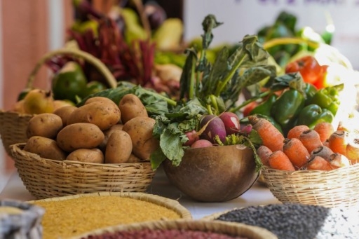 Foire agro-gastronomique du PNCS : le pari du local pour nourrir les écoliers
